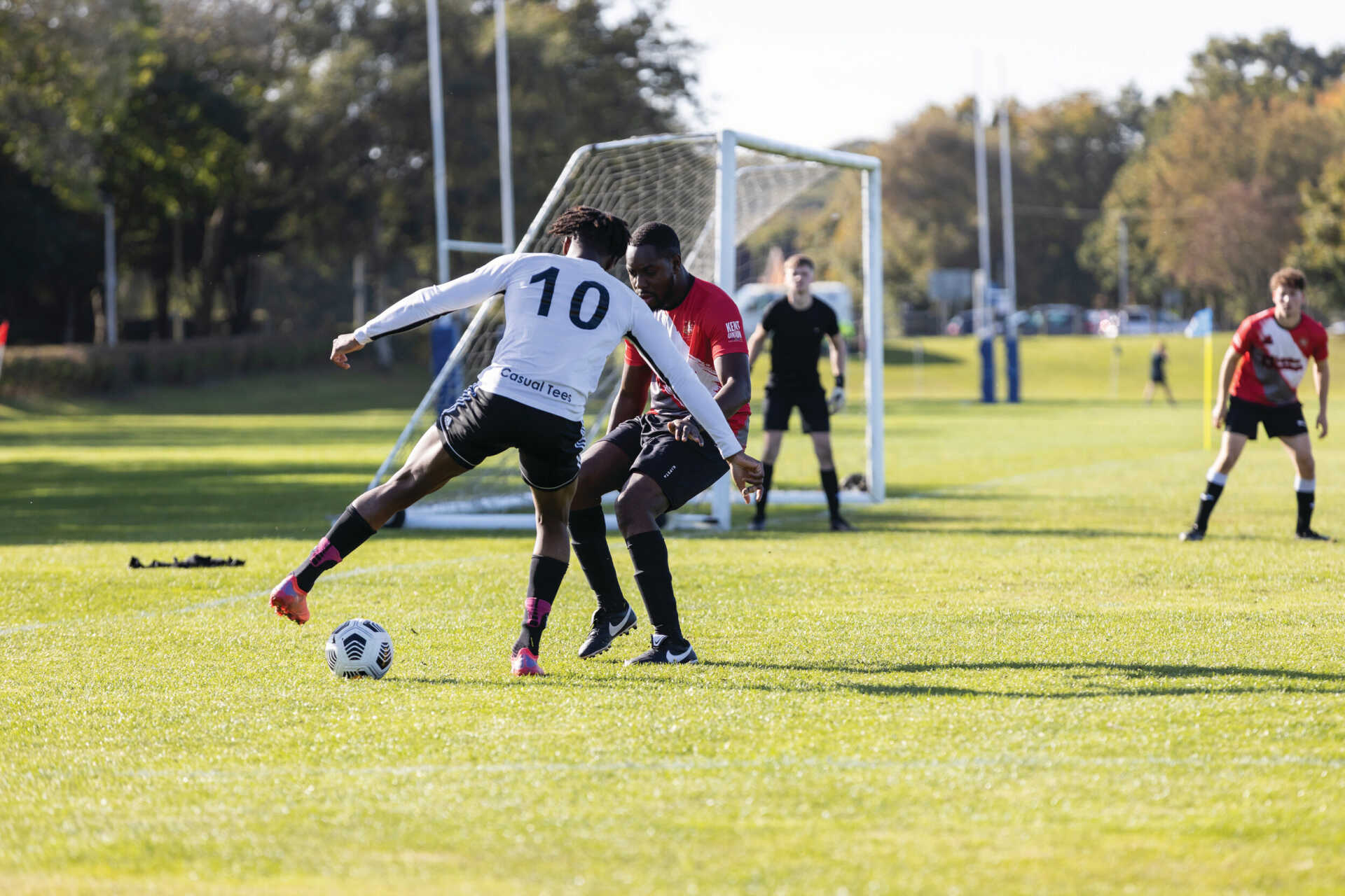 他們的整體 他們的整體