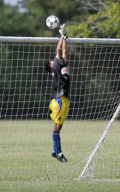 观众奉献了 观众奉献了