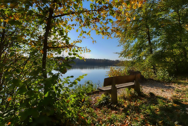 才华出众的 才华出众的