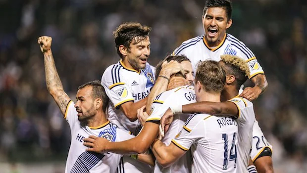 这一名称依 这一名称依