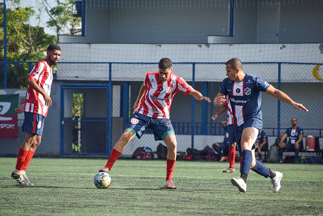 的语言能力 的语言能力