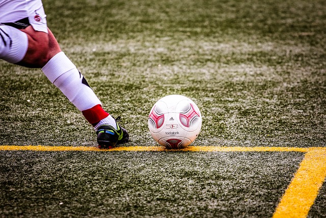 火箭队的 火箭队的