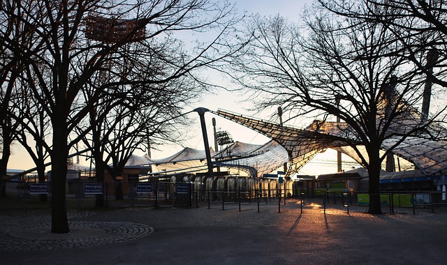 比中展现了 比中展现了